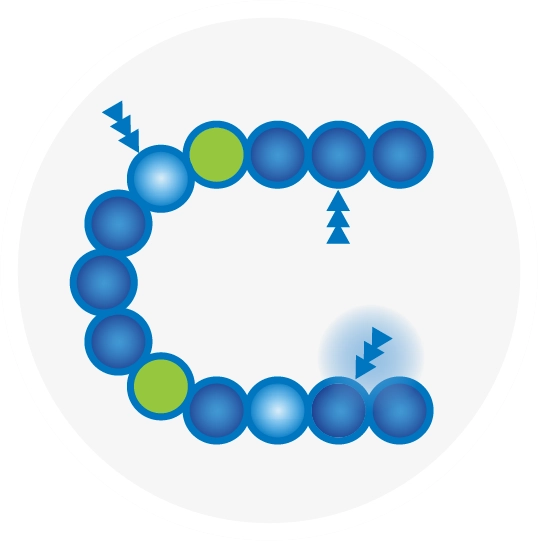 Graphic depicting biosimilar IL-6 monoclonal antibody 