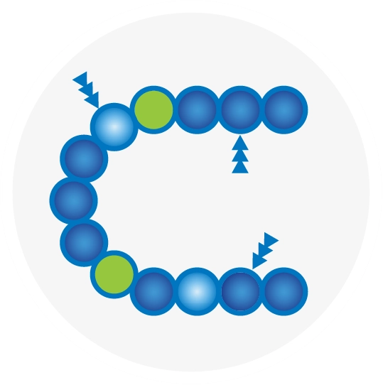 Graphic depicting  reference IL-6 monoclonal antibody 